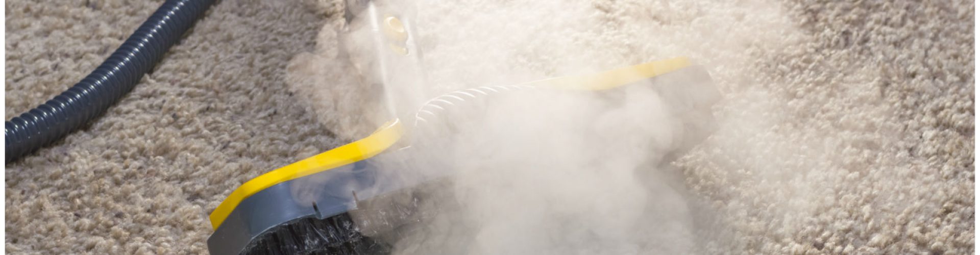 Carpet Steam Cleaning