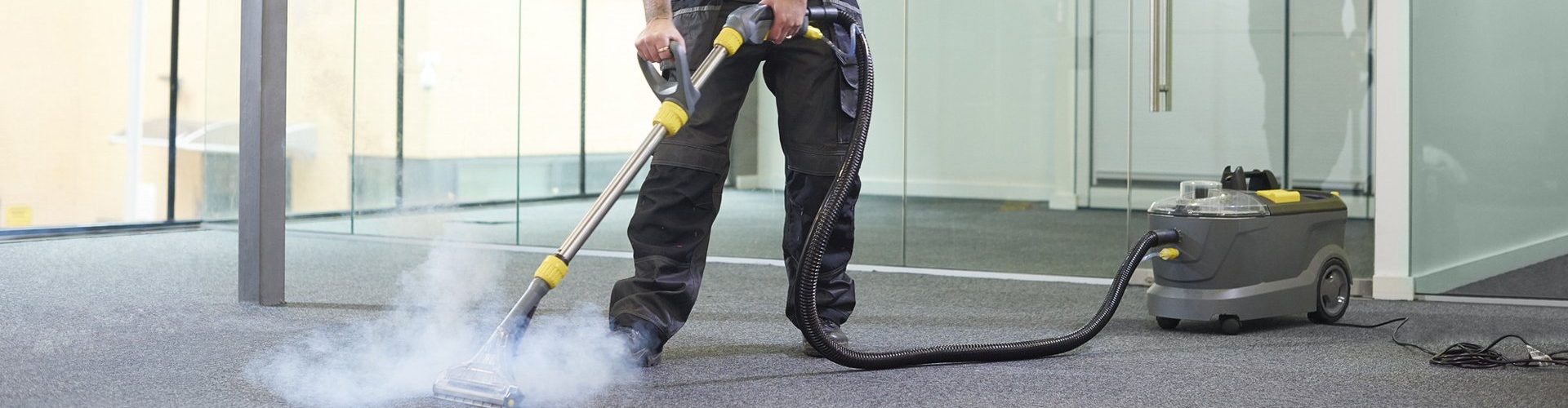 Is Carpet Cleaning worth the money?