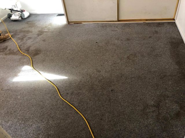 Carpet Cleaning Melbourne | #1 Carpet Steam Cleaning in Melbourne